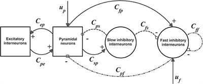 Transfer Entropy as a Measure of Brain Connectivity: A Critical Analysis With the Help of Neural Mass Models